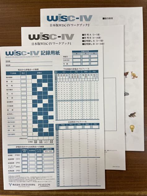 Wisc Ⅳ 知能検査 記録用紙 3点セット メルカリ