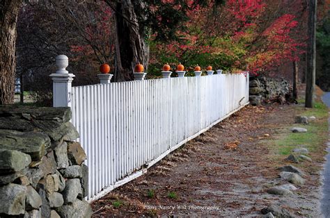 Picket Fence Pumpkins in Fall Photograph by Nancy Wilt - Fine Art America