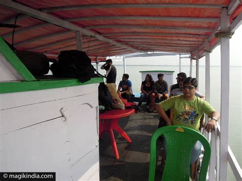 Sundarbans La Plus Grande Mangrove Halophile Au Monde Magik India