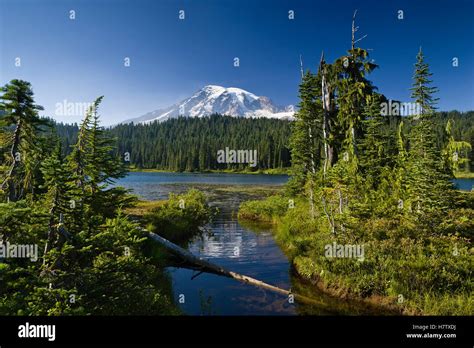 Reflection Lake With Mount Rainier Mount Rainier National Park