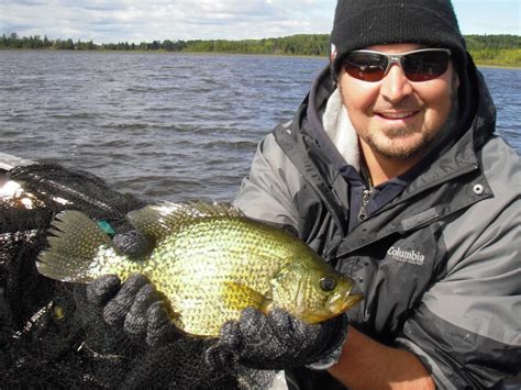 Black Crappie On The Radar