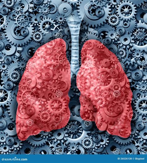 Human Lungs Function Stock Illustration Illustration Of Care 26526138