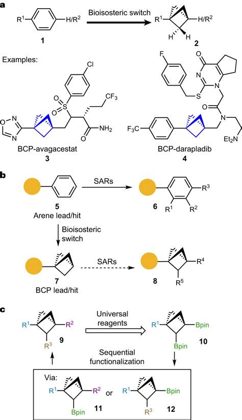 Significance Challenges And Strategy For Accessing Multi Substituted