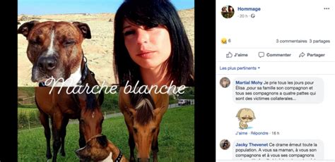 Elisa Pilarski Tu E Par Des Chiens Son Compagnon Touch Par La