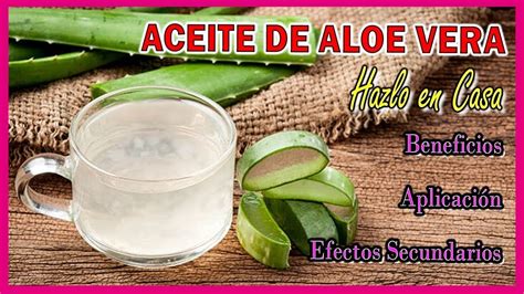 COMO HACER ACEITE DE ALOE VERA EN CASA BENEFICIOS APLICACIÓN EFECTOS