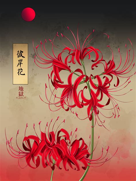 Red Lycoris Red Radiata Hardy Red Surprise Lily Blooms Large Spider