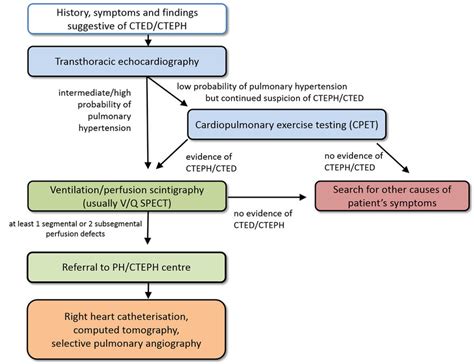 Cteph Diagnostic Algorithm Adapted From Wikens H Ulrich S Consensus