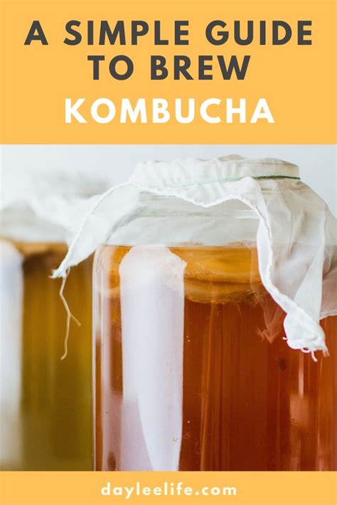 A Simple Guide To Brew Your Own Kombucha Daylee Life