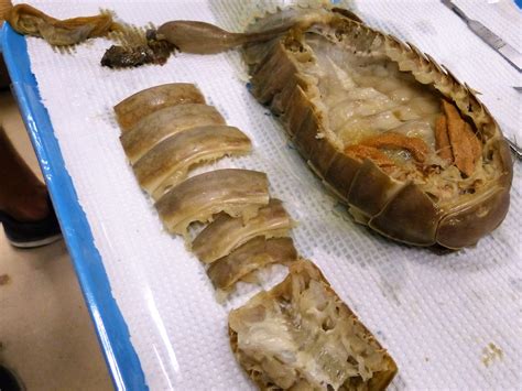 Giant Isopod Cooked