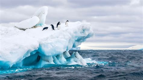 Antarctica Cruise