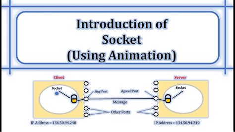 What Is Socket How Socket Works Types Of Sockets Socket Address Tcp Socket Udp Socket