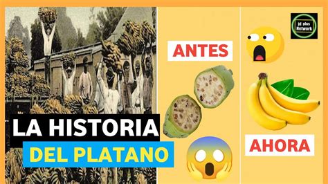 La Historia Del Platano Origen De La Banana Youtube