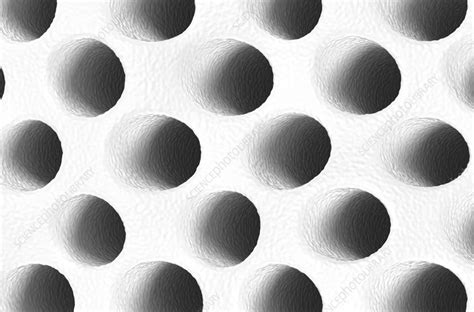 Dentine Illustration Stock Image F0405923 Science Photo Library