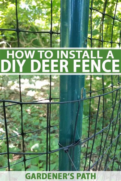 How To Install A Deer Fence To Keep Wildlife Out Of The Garden