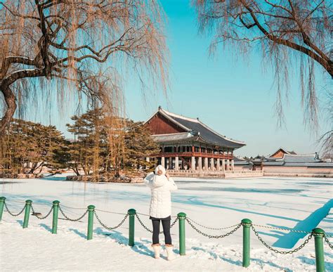Complete Guide to South Korea in Winter: What to See, Do & Eat