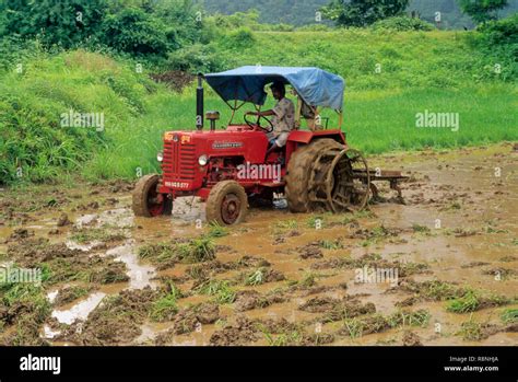 tractor in field, india Stock Photo - Alamy