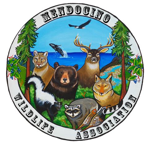 Mendocino Wildlife Association Willits Ca