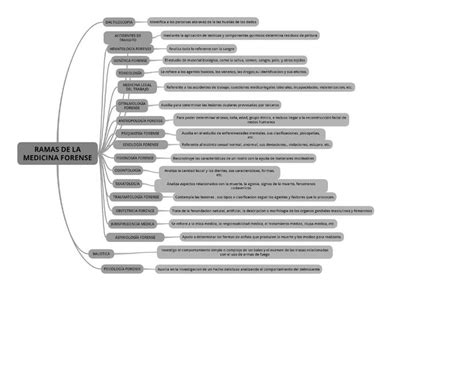 Ramas De La Medicina Forense Forensic Notes UDocz