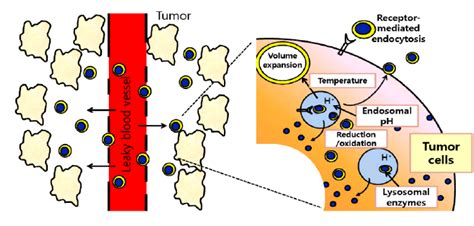 Schematic Illustration Of Actions Of The Stimuli Responsive