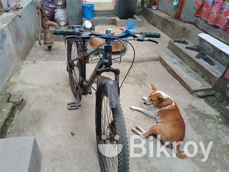 Bicycle For Sell Narayanganj Bikroy