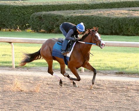 WET PAINT GOES FOR SWEEP IN THE FANTASY STAKES Oaklawn Hot Springs Arkansas