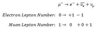 Law of Conservation of Lepton Number | Examples | nuclear-power.com