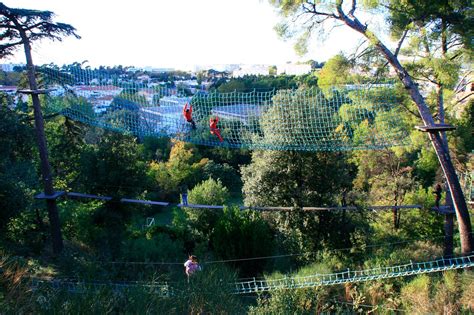 Ecopark Adventures Tutto Quello Che Cè Da Sapere 2024