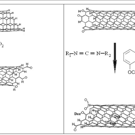 A Scheme Of Reaction Of Cnts With Carbodiimide B Scheme Of The