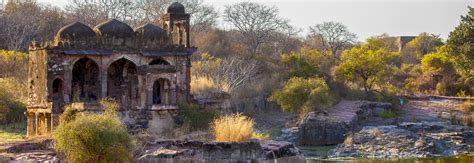 Ranthambore Fort