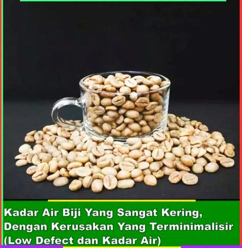 Kopi Luwak Liar Bali King 1000gr Bean Biji Kopi Biji Mentah 1kg