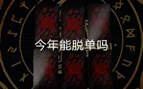 【龙女塔罗】今年能脱单吗？哔哩哔哩bilibili