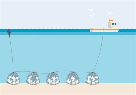 Commercial Fishing Methods Sustainable Fisheries Uw