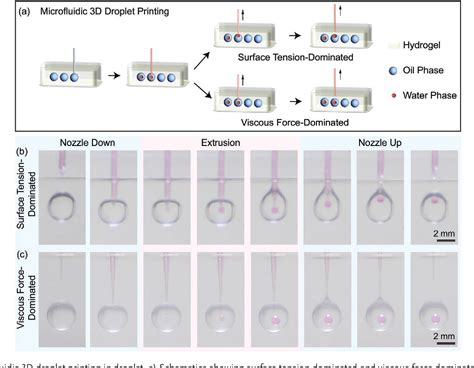 Figure 1 From Emulsion Designer Using Microfluidic Three Dimensional