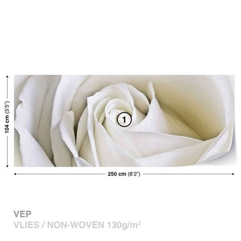 Fototapete Tapete Blumen Rose Wei Natur Bei Europosters Kostenloser