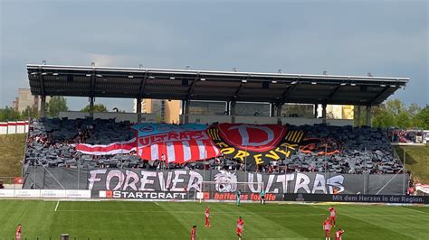 Dynamo Dresden Choreo Des Fsv Zwickau Fanfreundschaft Youtube