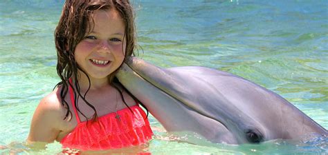 Blue Lagoon Dolphin Encounter