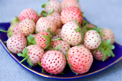 Albino Berries: Pineapple Meet Strawberry! - Florissa