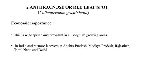 Diseases Of Sorghum Ppt