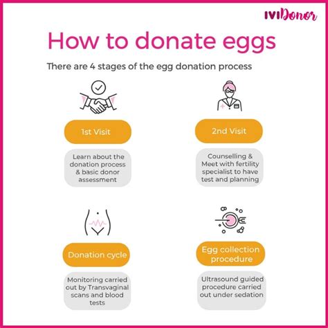 How Much To Donate Eggs Uk / Should Germany S Ban On Egg Donation Be ...