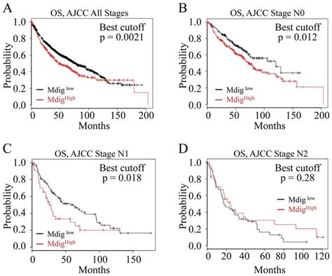 Increased Mdig Expression Predicts Poorer Overall Survival OS Of The