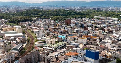 Sakai Travel Guide | Sakai Tourism - KAYAK