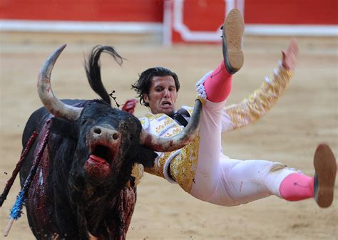 Bull Fighting: Bull Fights In Spain