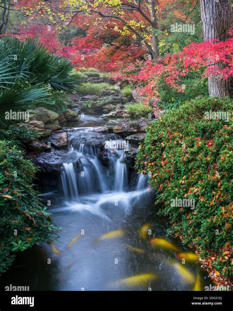 Waterfall Japanese Garden Foliage Hi Res Stock Photography And Images