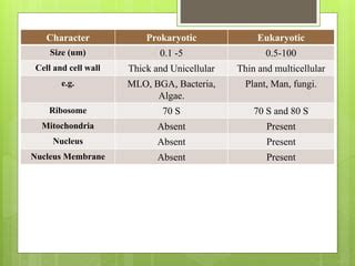 cell, cell structure and function, Prokaryotic cell and Eukaryotic cell ...