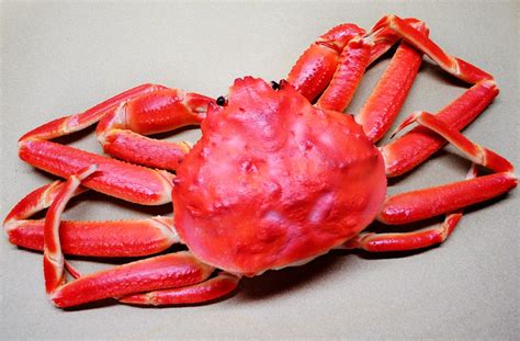 Crab King Snow Dugeness And Bairdi Crabs Chinook Quality