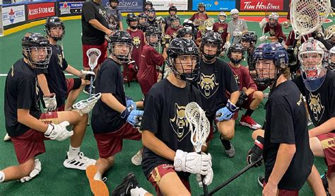 Junior Nll Firewolves Program Albany Firewolves