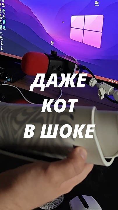 Скам ДНС на коврик - YouTube