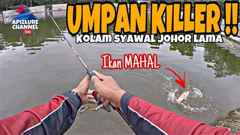 Teknik Casting Kolam Pancing Syawal Johor Lama Umpan Killer