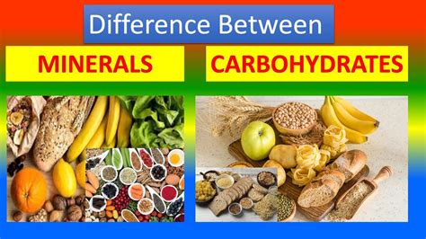 Difference Between MINERALS And CARBOHYDRATES YouTube