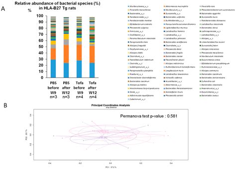 Changes in HLA-B27 Transgenic Rat Fecal Microbiota Following